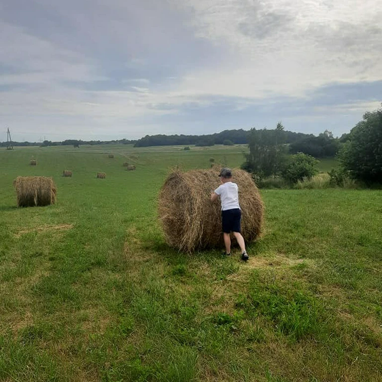 Galeria zdjęć